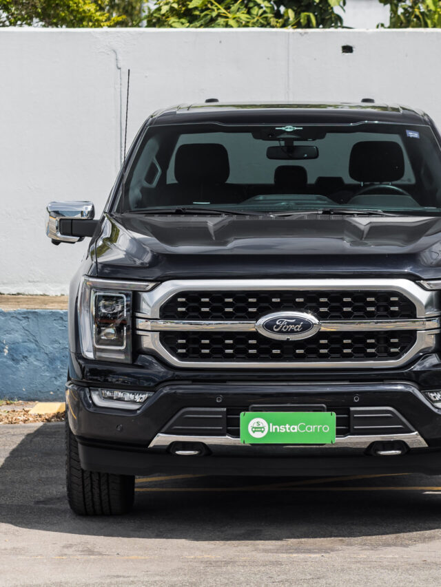 Story 6 FORD F-150 PLATINUM WEBSTORIES (15)