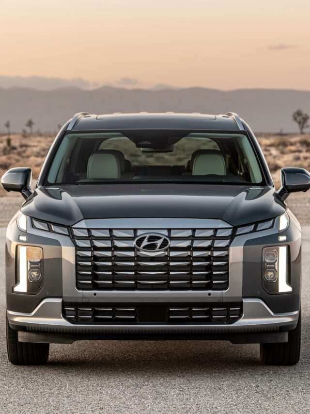 Webstories 12 cropped-Hyundai-Palisade-11.jpg